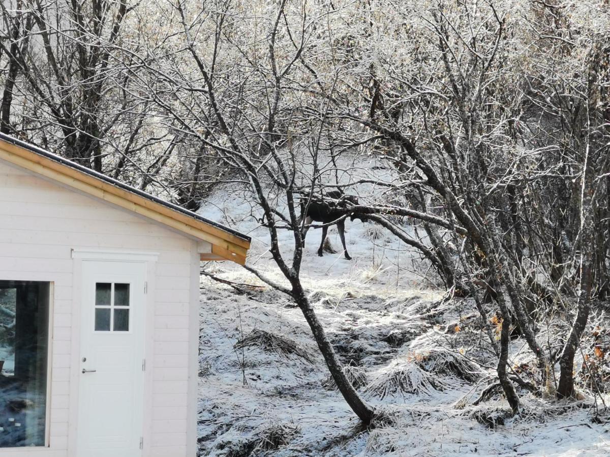 Вілла Relaxing Cabin Gravdal  Екстер'єр фото